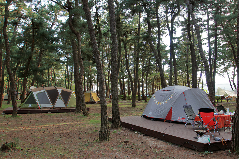 연곡솔향기캠핑장