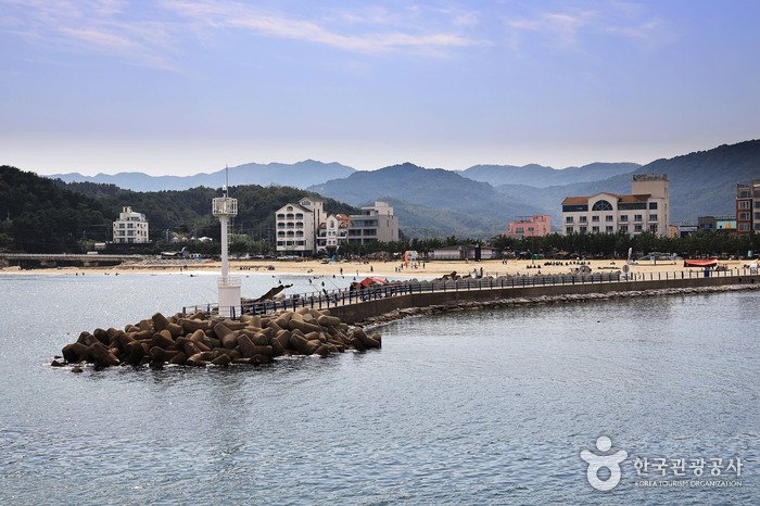 인구항 (죽도항)