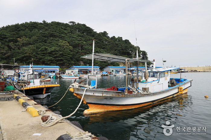 인구항 (죽도항)
