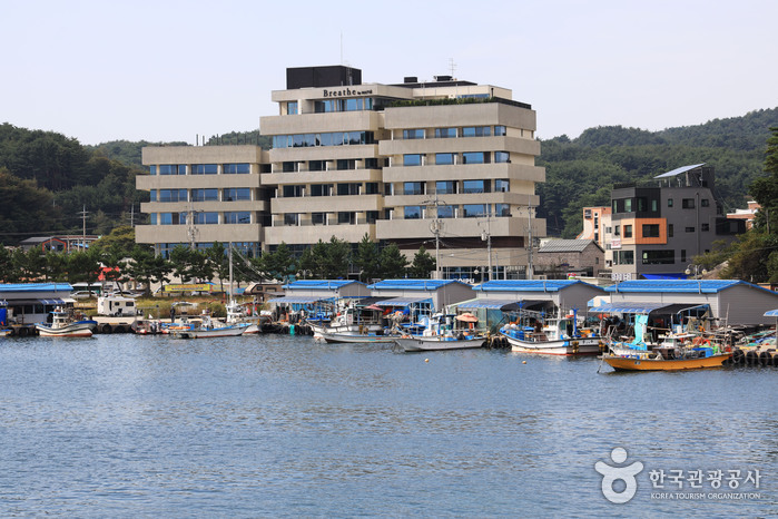 인구항 (죽도항)