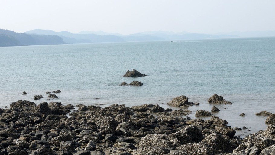 여섬