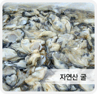 [백미리마을]자연산 굴