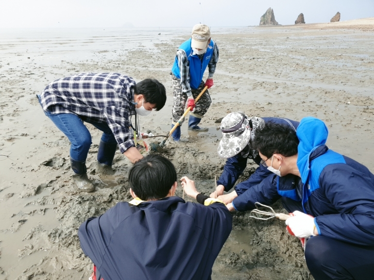 [제부마을]쏙잡이체험