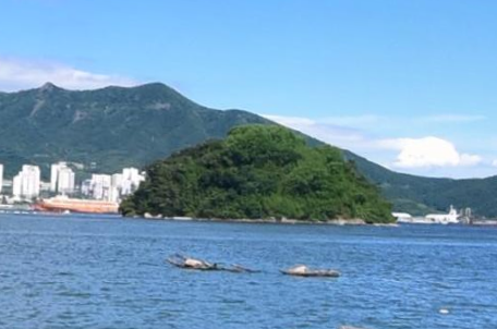 대죽도