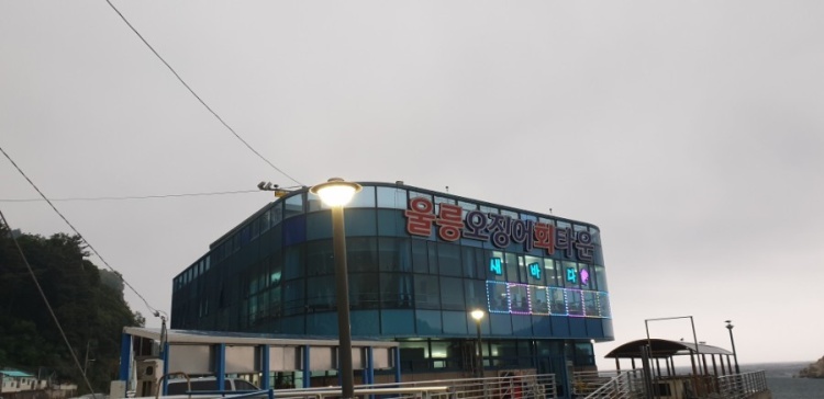 울릉오징어회타운