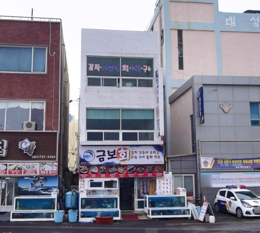 금보