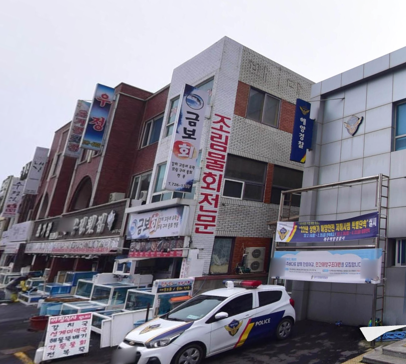 금보