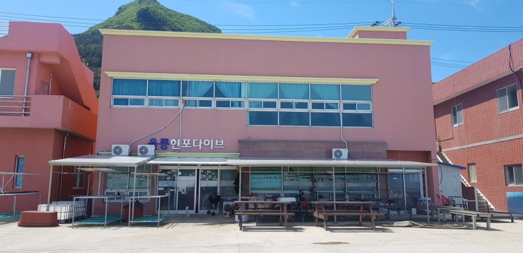 울릉현포다이브
