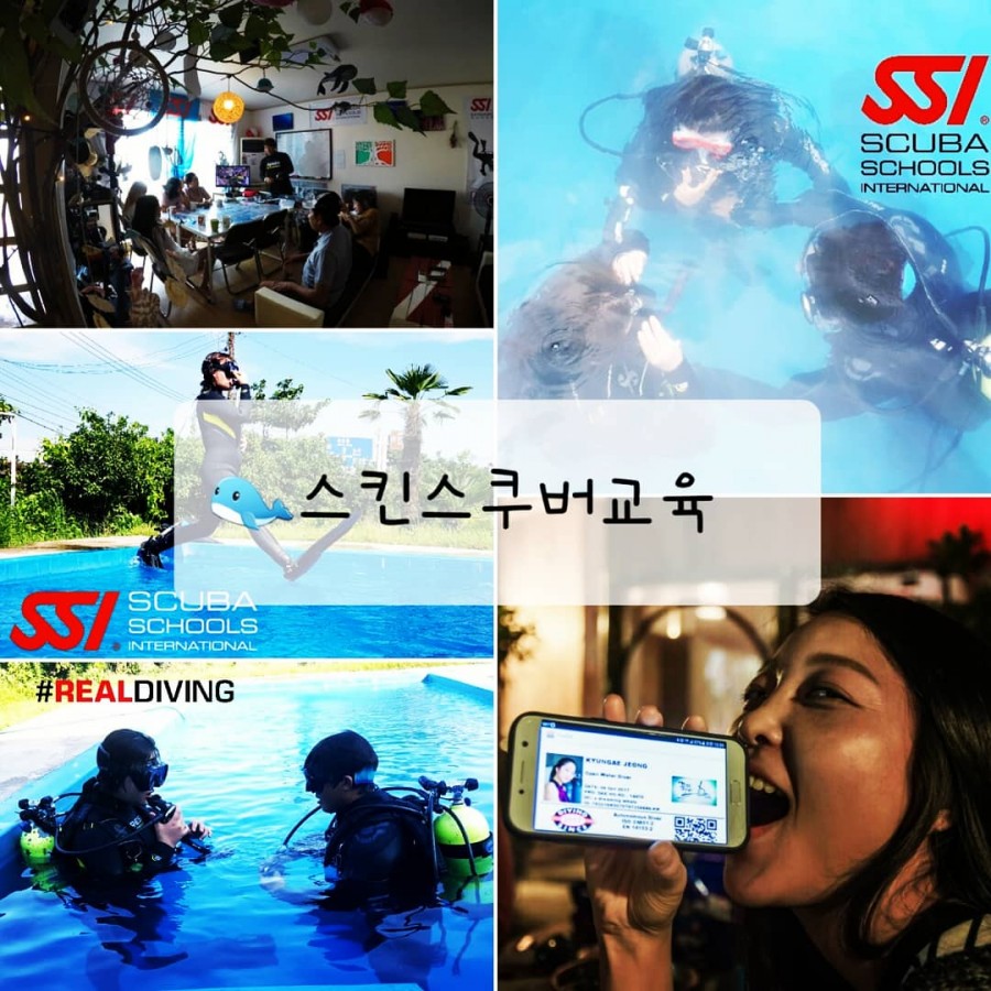 제주꿈꾸는 고래