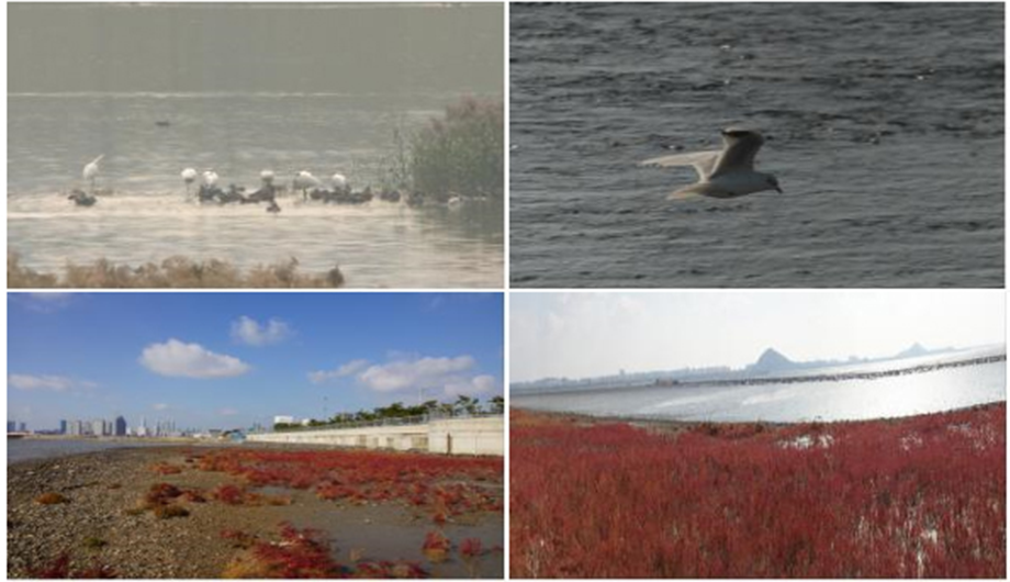 인천광역시 연수구 송도동
