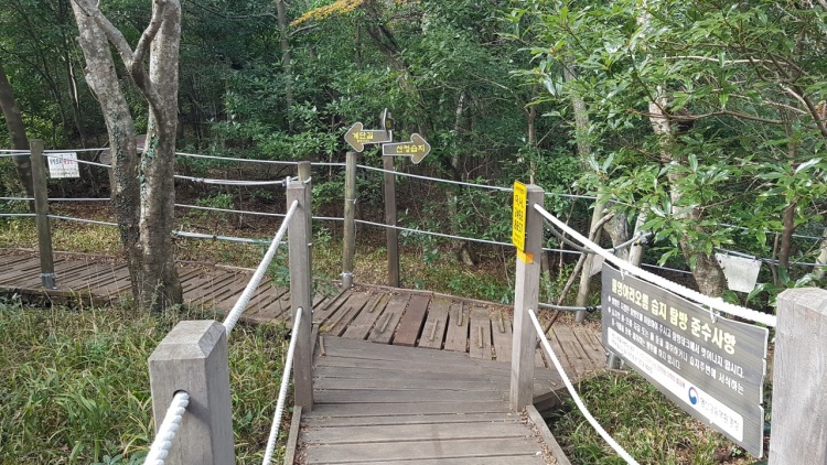 제주특별자치도 서귀포시 남원읍 수망리 수령산 일대 분화구