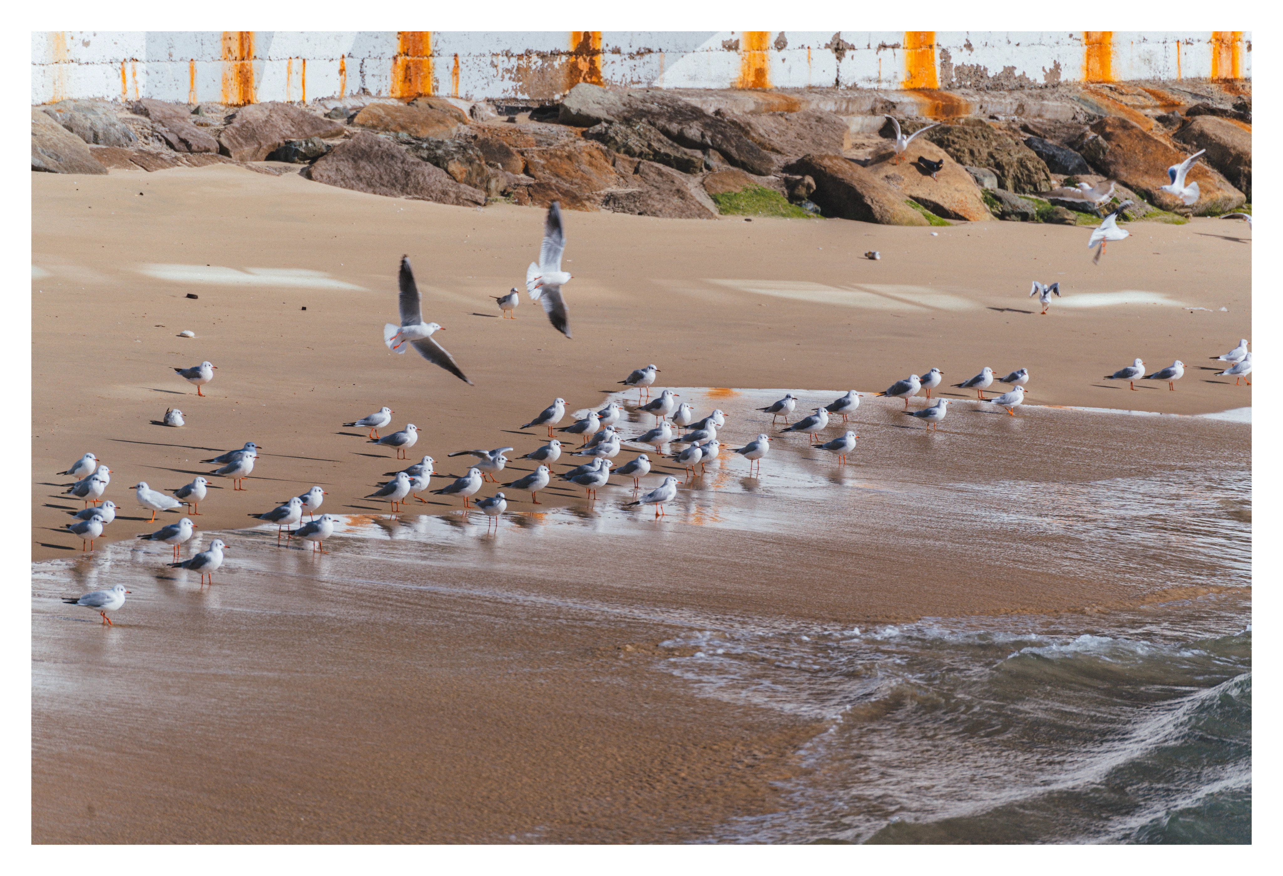 부산 해운대의 겨울바다 사진